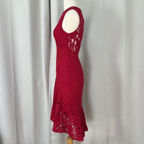 Lover the Label 2 Guipure Crimson Lace Dress - Picture 3 of 7